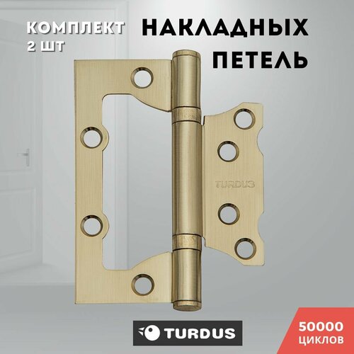 Петли для дверей накладные золото матовое TURDUS 100*75*2,0 2ВВ SB