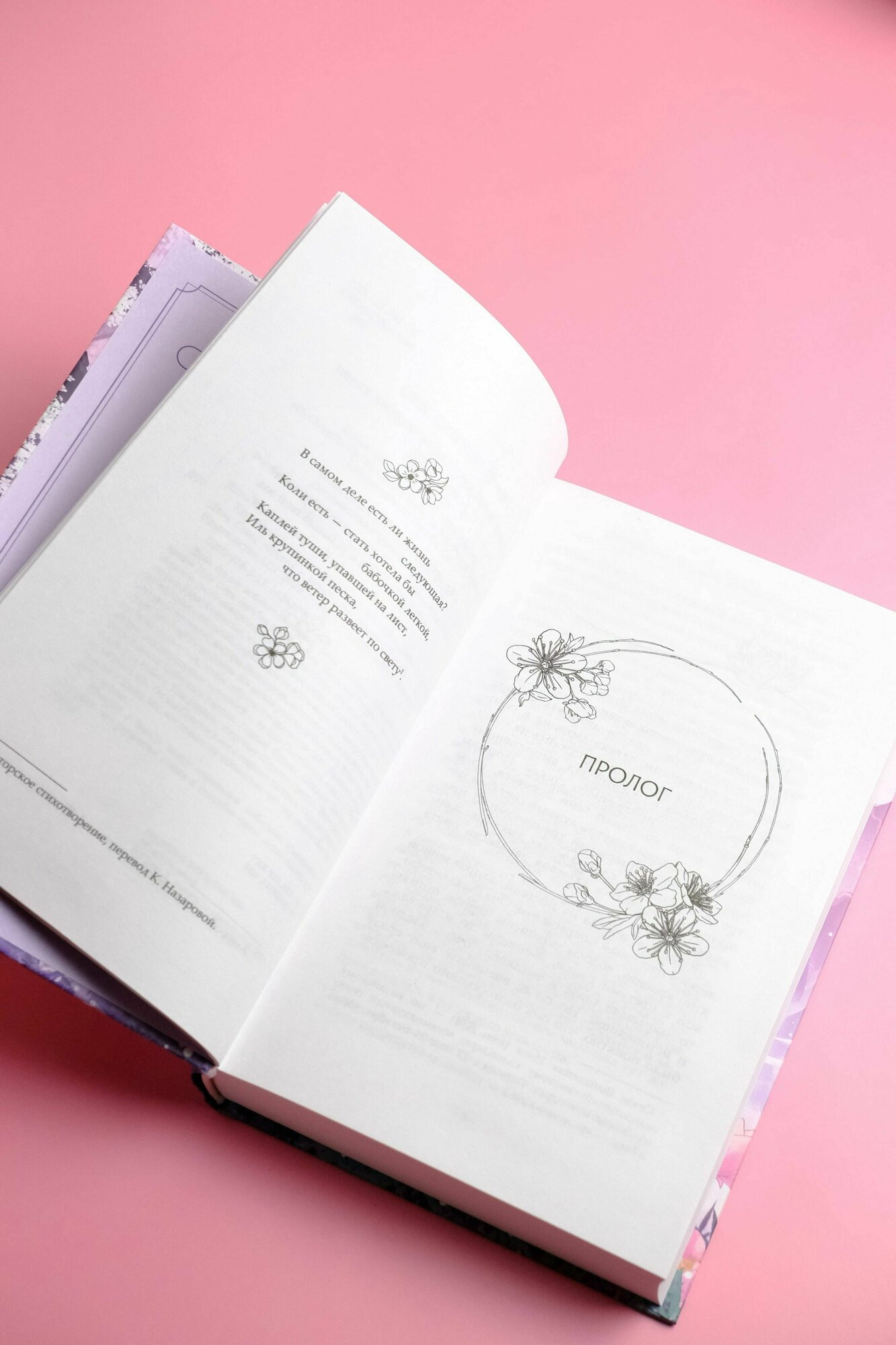 Удушающая сладость, заиндевелый пепел. Книга 1 - фото №15
