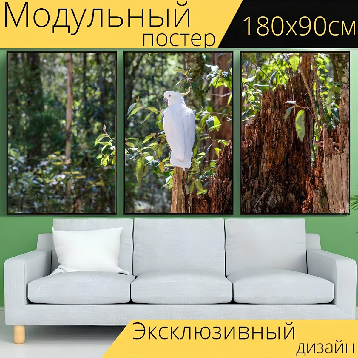 Модульный постер "Серный какаду, какаду, птица" 180 x 90 см. для интерьера