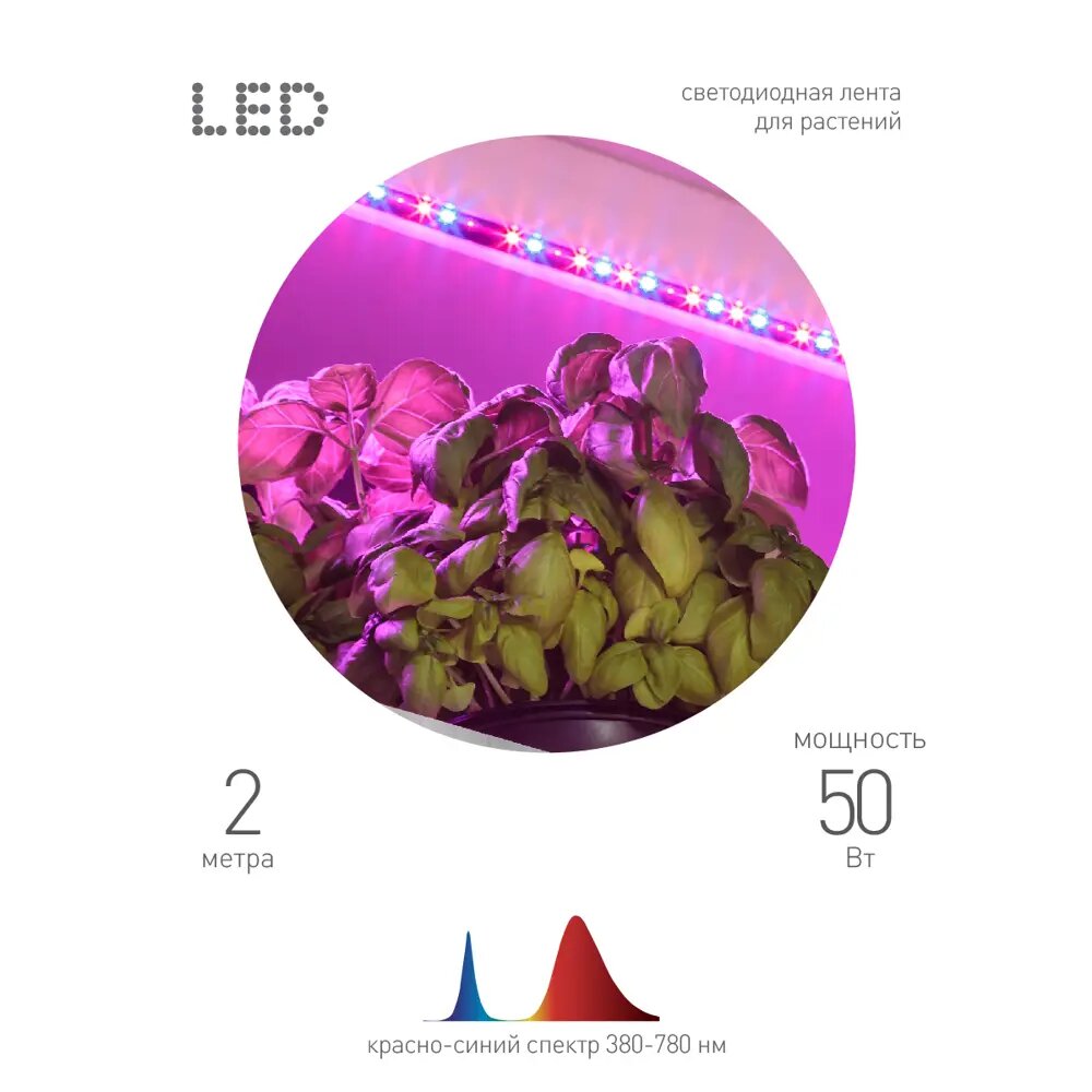 Лента светодиодная эра для растений 18вт ip65 красно-синего спектра 2м - фотография № 16