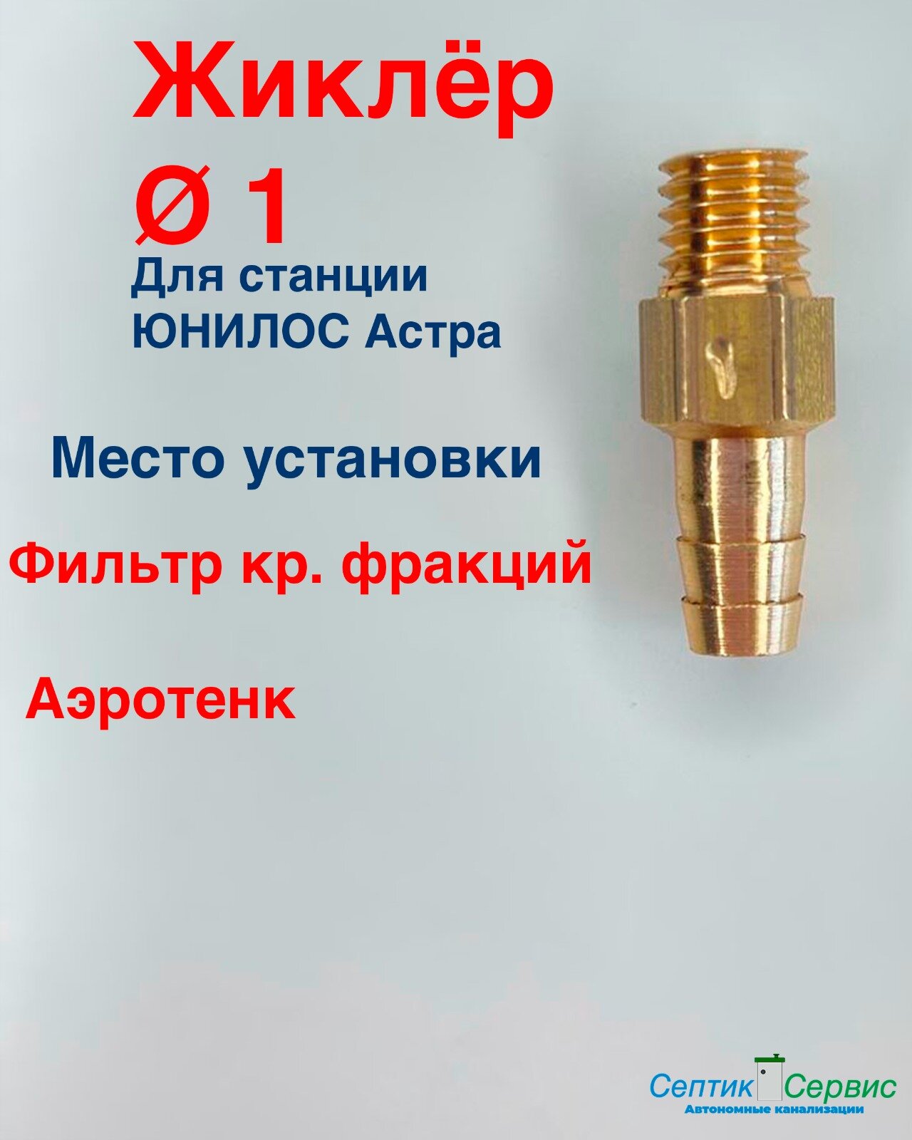 Жиклер (форсунка) к септику Юнилос Астра, для продувки главного насоса и циркулятора, диаметр 1 мм.