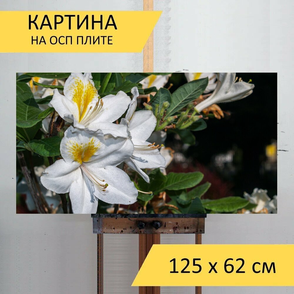 Картина на ОСП 125х62 см. 