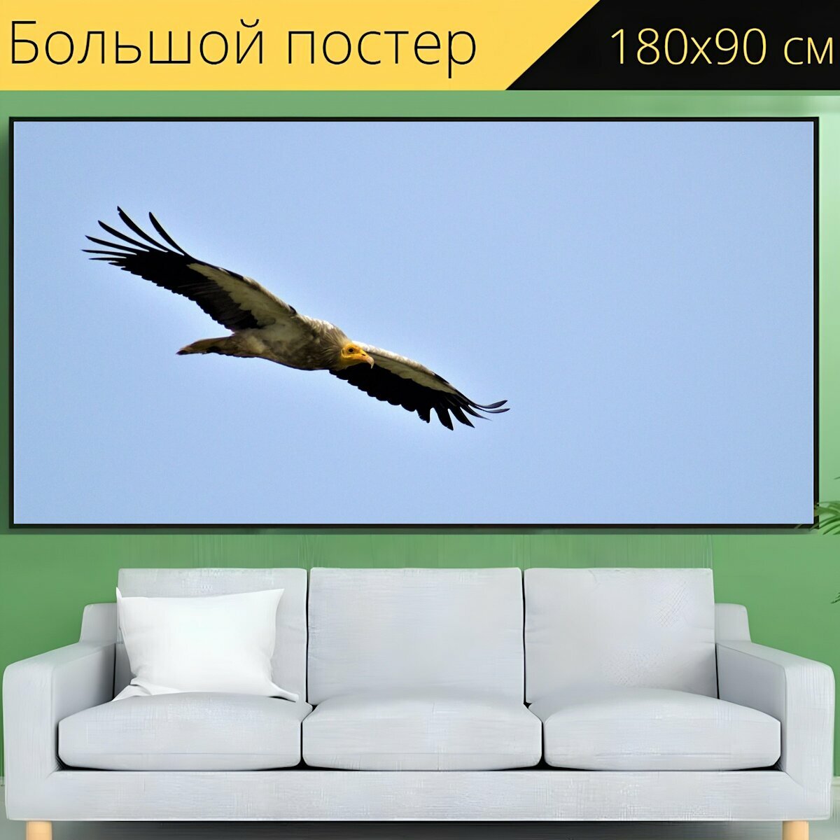 Большой постер "Стервятник, природа, птица" 180 x 90 см. для интерьера