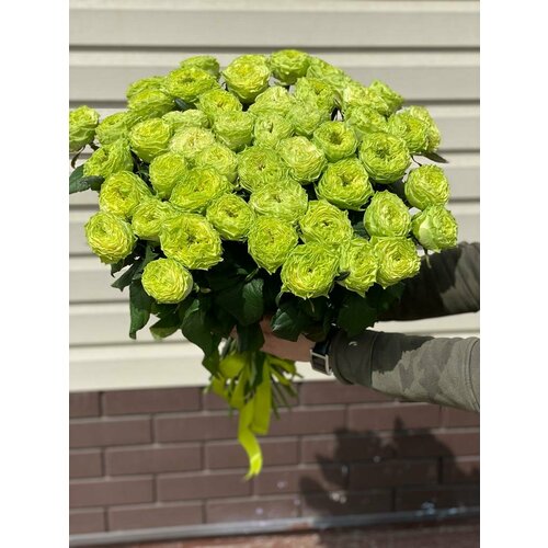 Букет из 51 пионовидной розы зеленого цвета