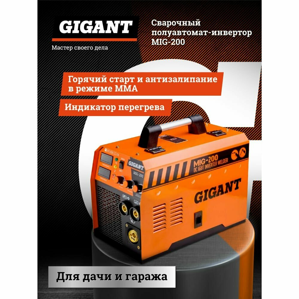 Gigant - фото №2