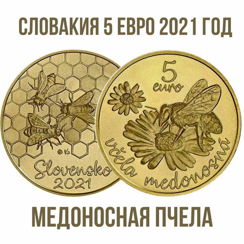 Словакия 5 евро 2021 год Медоносная пчела UNC