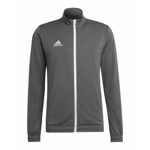 Толстовка adidas, размер XXXL [producenta.mirakl], серый