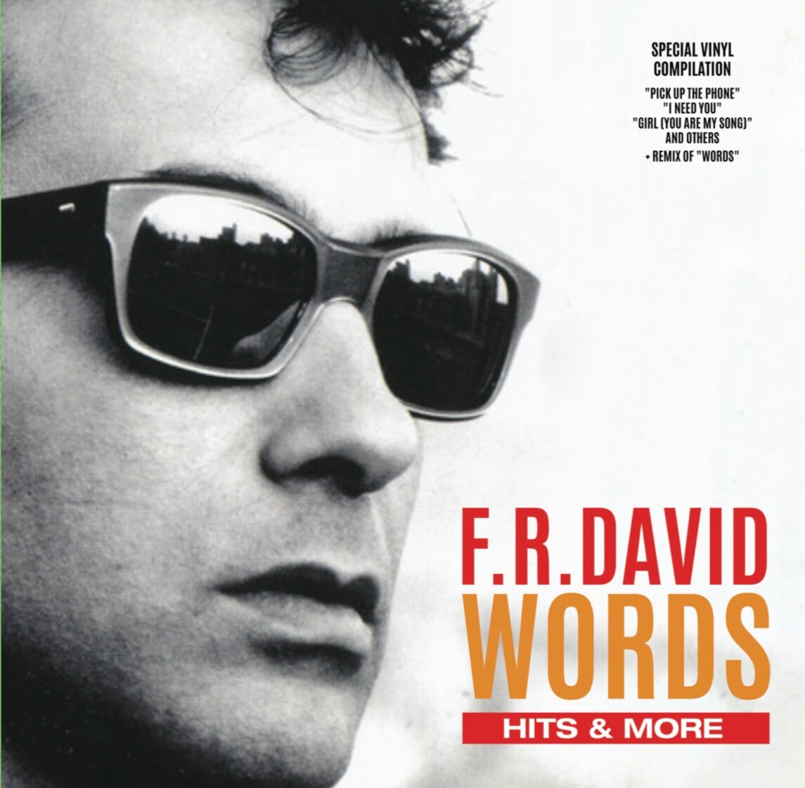 Виниловая пластинка F.R. David. Words - Hits & More (LP)