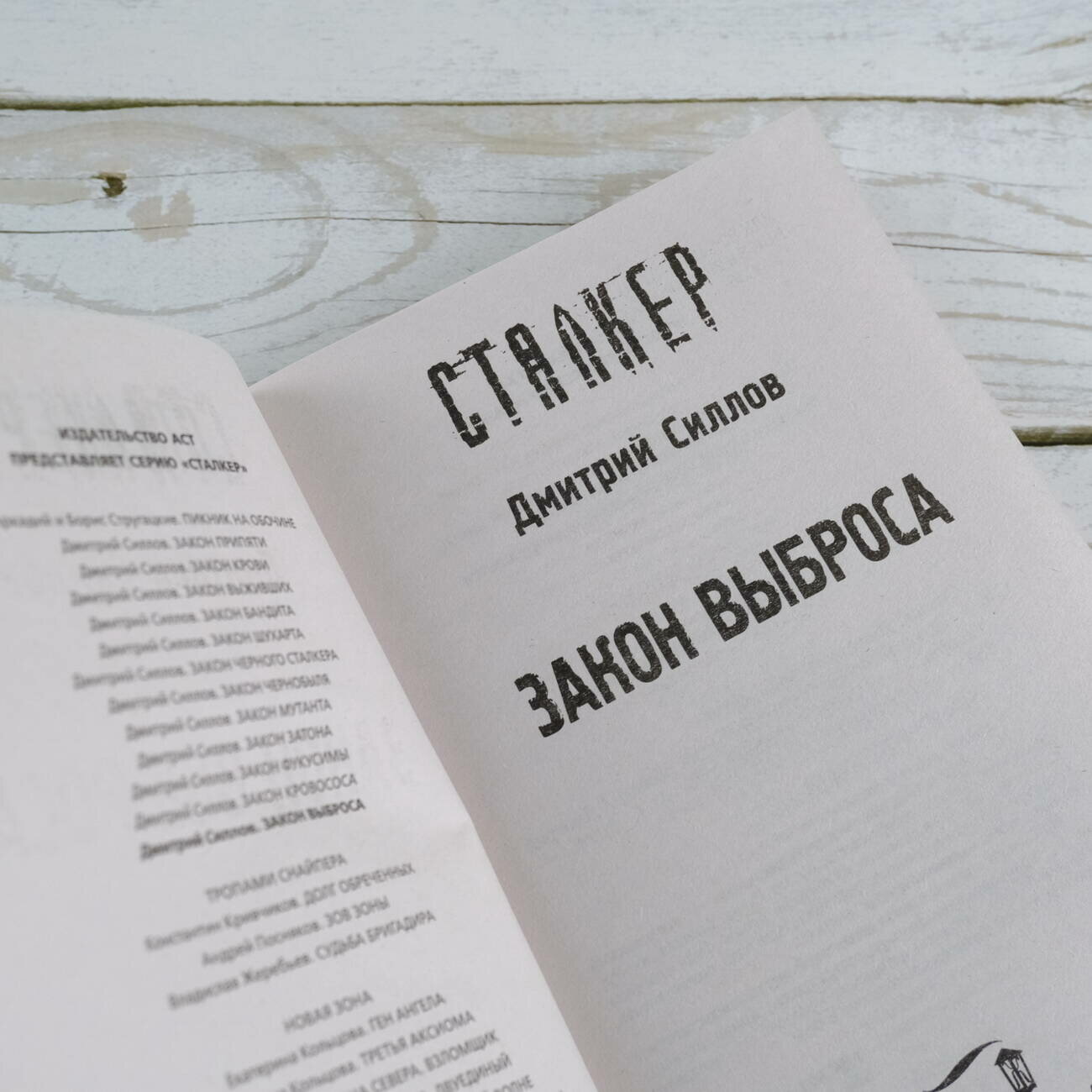 Закон Выброса (Силлов Дмитрий Олегович) - фото №4