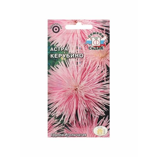 Семена цветов цветок Астра Керубино китайская, игольчатая семена цветов цветок астра керубино китайская игольчатая нежно розовая евро 0 2 г 6 упаковок