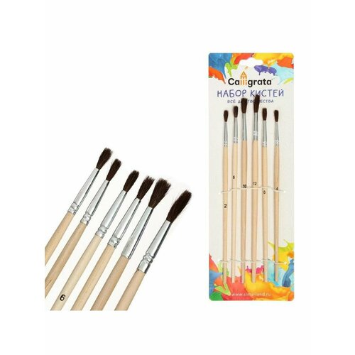 Набор кистейПони круглые 6 штук 326₽