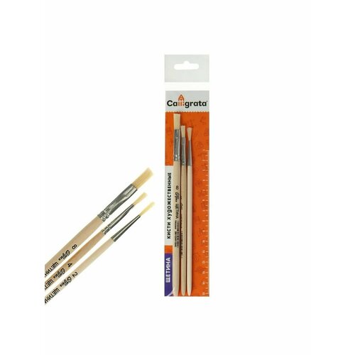 Набор кистей Щетина 3 штуки Calligrata 277₽