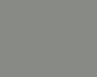 Фон пластиковый Vibrantone 1x1,4м Dark Grey темно-серый