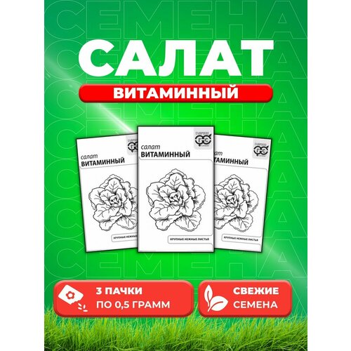 Салат Витаминный 0,5 г б/п с евроотв. (3уп)