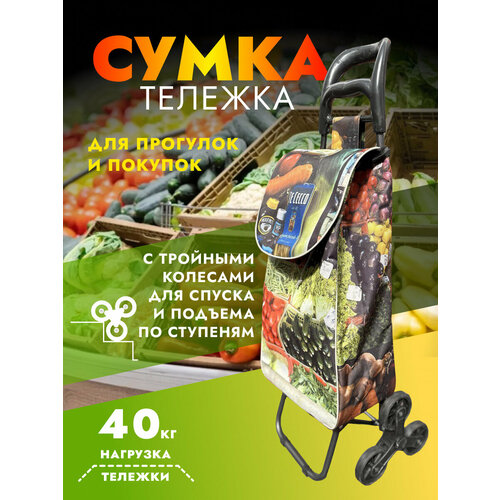 Сумка-тележка , 30 л, серый, черный сумка тележка 30 л 23х92х31 см черный серый