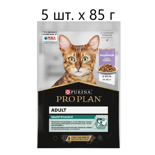 Влажный корм для кошек Purina Pro Plan Adult Maintenance with Turkey, для взрослых, индейка, 5 шт. х 85 г (кусочки в желе)