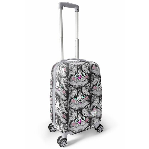Чемодан  CORAL HIGH, ручная кладь, 35х50х25 см, 2.3 кг, серый