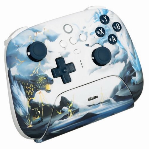 Беспроводной игровой контроллер 8BitDo Ultimate 2.4G Controller, разноцветный