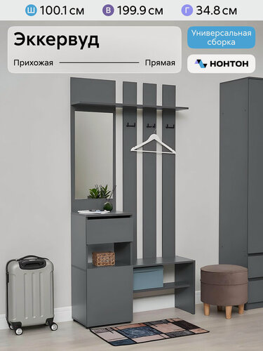 Изображение товара Прихожая с зеркалом Нонтон Эккервуд, графит серый, 100.1x34.8x199.9 см