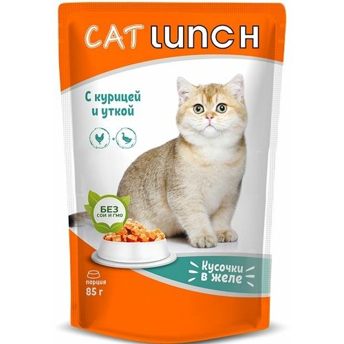 Кэт Ланч пауч для кошек кусочки в желе Курица и Утка 85г happy cat хэппи кэт консервы для кошек кусочки в желе утка и цыпленок 12 х 400гр