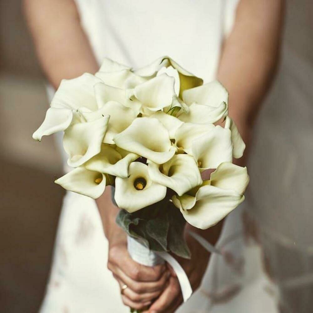 Премиум букет невесты из калл "Flowerella Premium" (белые) 19 штук