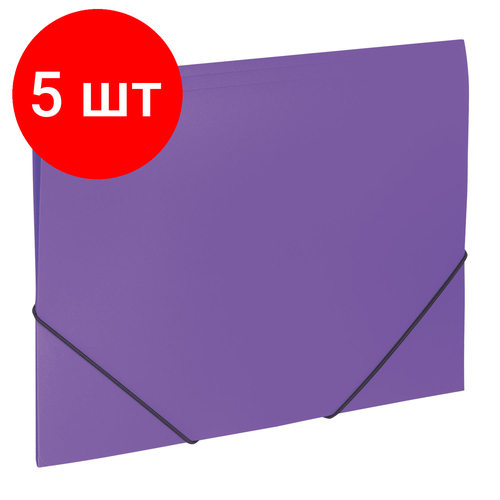 Комплект 5 шт, Папка на резинках BRAUBERG Office, фиолетовая, до 300 листов, 500 мкм, 228081