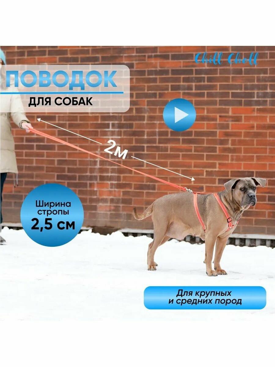 фото Поводок для собак оранжевый светоотражающий 2 м