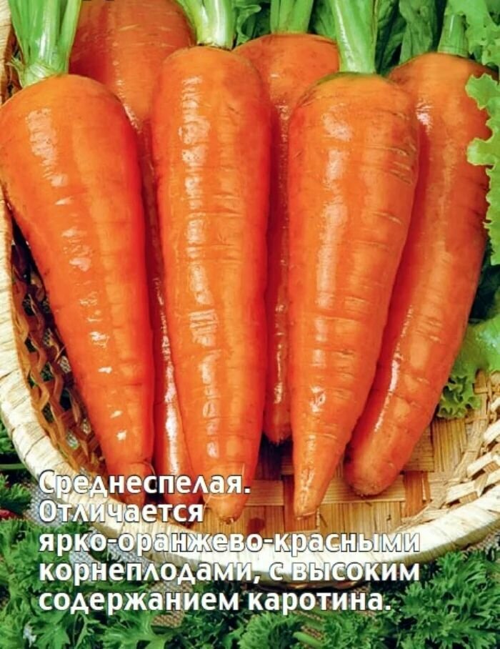 Коллекционные семена моркови Ред Кор