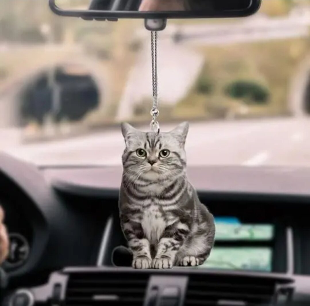 фото Котик на зеркале заднего вида