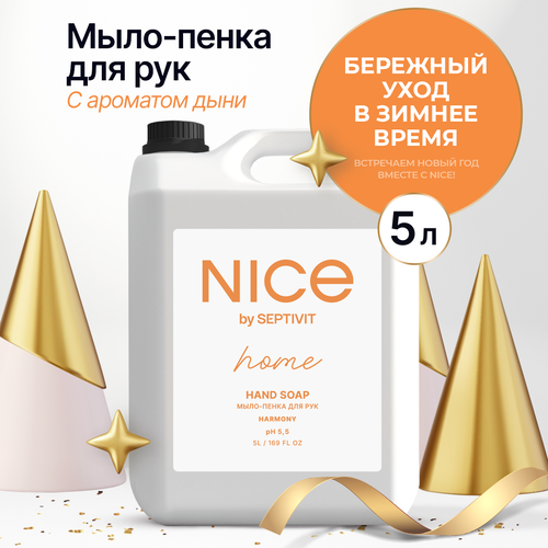 Nice by Septivit Мыло-пенка для рук HARMONY 5 л