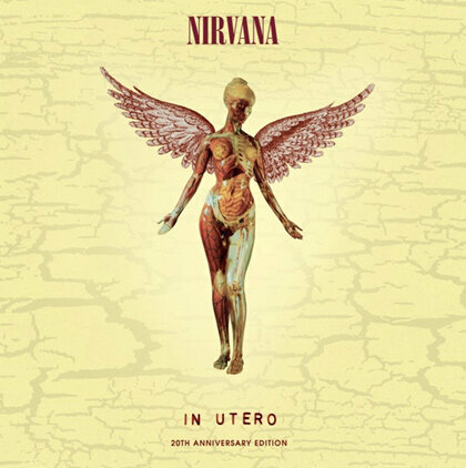 Nirvana In Utero (20th Anniversary Edition) CD Медиа - фото №3