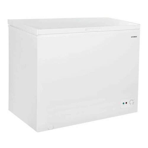 Морозильная камера Hyundai CH2591WT белый 2945500₽
