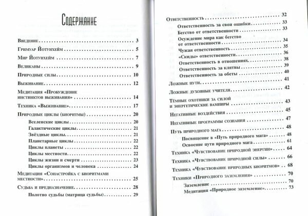 Гримуар Йотунхейм (Андрей Дельян) - фото №9