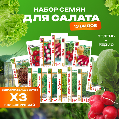 Набор семян для салата 13 видов редис , петрушка, укроп, салат гавриш зелень набор семян 4 пакета 1 в подарок петрушка лук салат укроп бонус