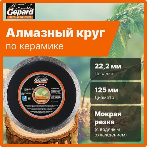 Изображение товара Диск алмазный отрезной 125х22 мм GEPARD сплошной (GP0803-125)
