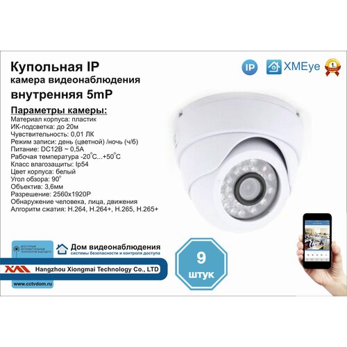 9шт DVW300IP5MP Внутренняя IP камера 5мП с ИК до 20м 2805000₽