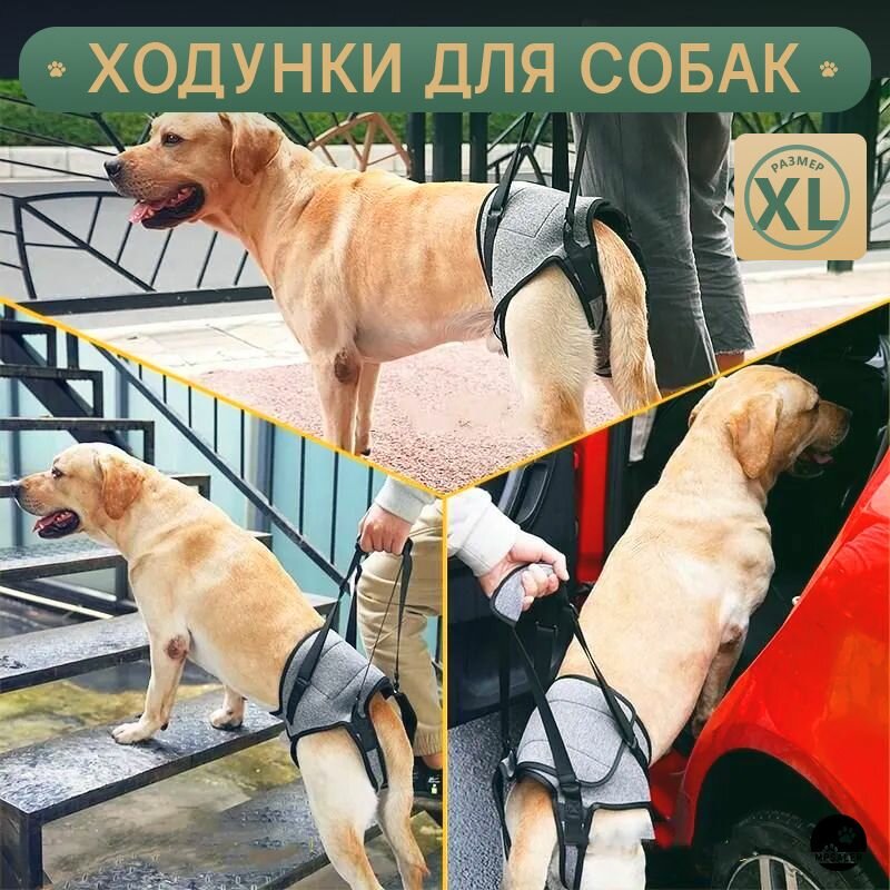 Ходунки для собак. Поддерживающая шлейка, размер XL.