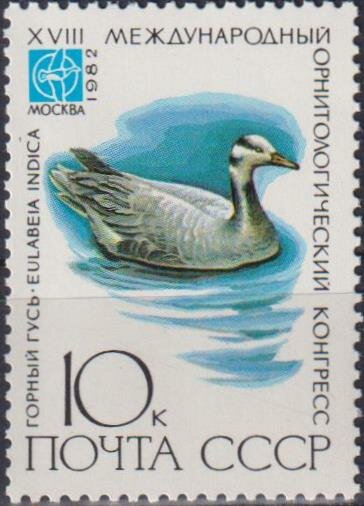 Почтовые марки СССР 1982г. "Горный гусь" Птицы MNH