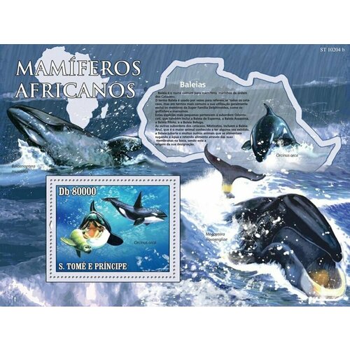 Почтовые марки Сан-Томе и Принсипи 2010г. Фауна - Киты Африки Киты, Морская фауна MNH коморы киты морская фауна 2009 почтовые марки лист блок