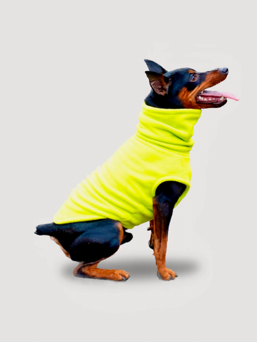 Изображение товара Жилет для собак мелких и средних пород флисовый цвергпинчер