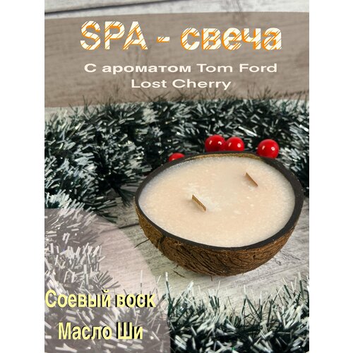 Spa свеча в кокосовой скорлупе Tom Ford 