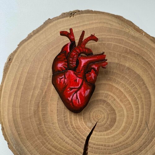 Значок Создашева Анна Брошь ручной работы анатомическое сердце / Значок из дерева сердечко, красный