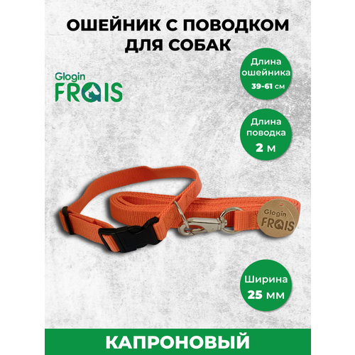 Комплект Glogin Frais капрон ошейник 25мм х 39-61см + поводок 25мм х 2м