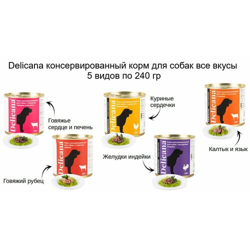Delicana консервированный корм для собак все вкусы 5 видов по 240 гр (1,2 кг)