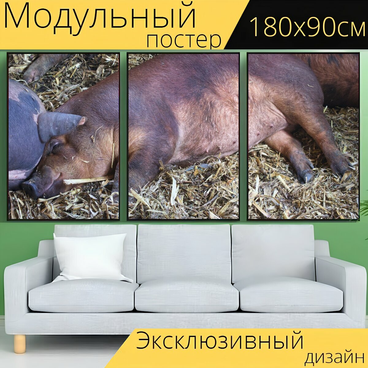 Модульный постер "Свинья, спать, сарай" 180 x 90 см. для интерьера