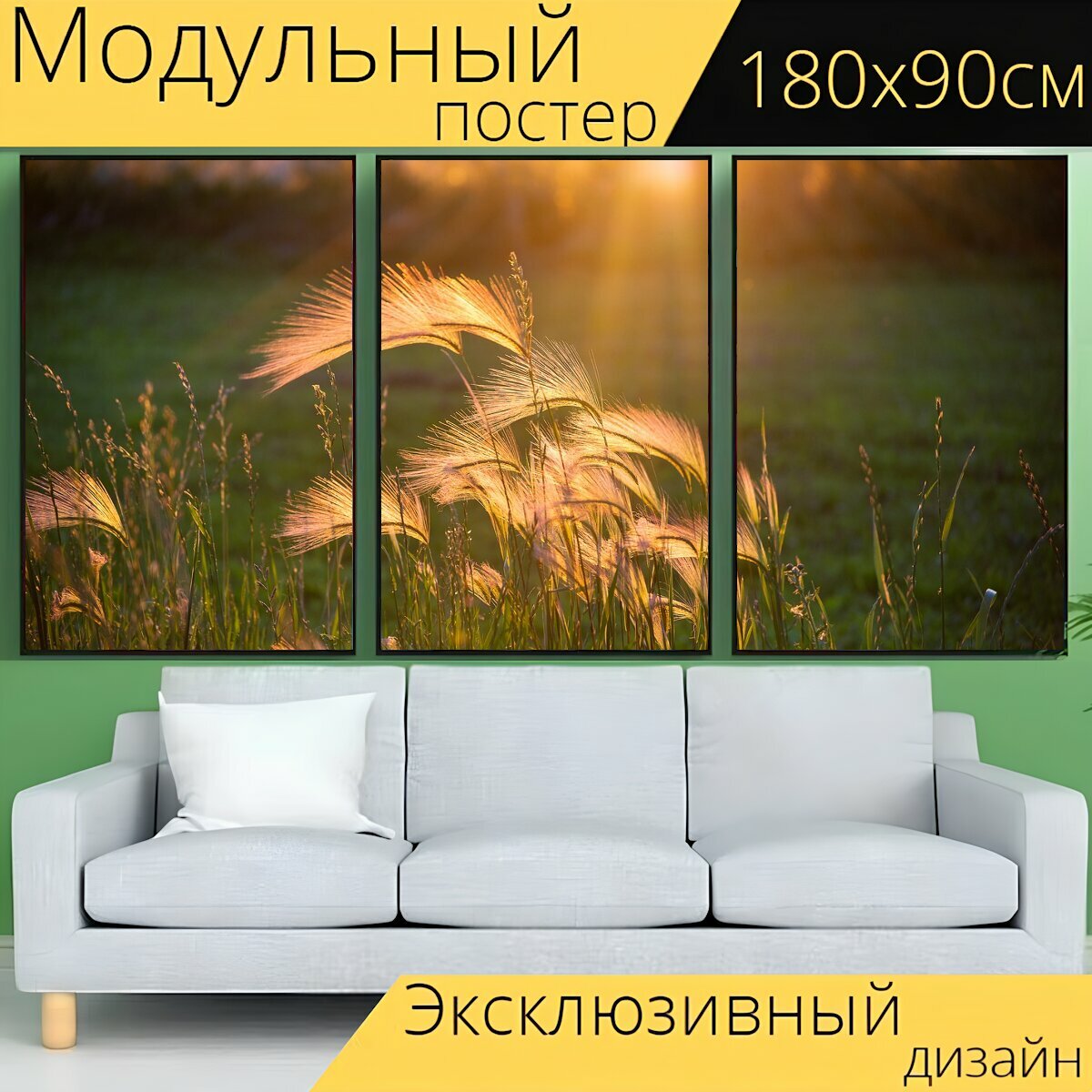 Модульный постер "Заход солнца, сорняки, теплый" 180 x 90 см. для интерьера