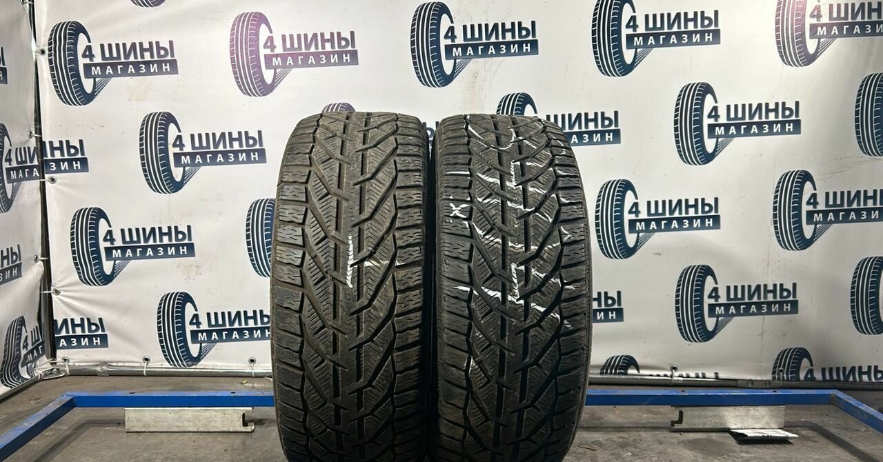 Riken Snow 225/45 R17 91H