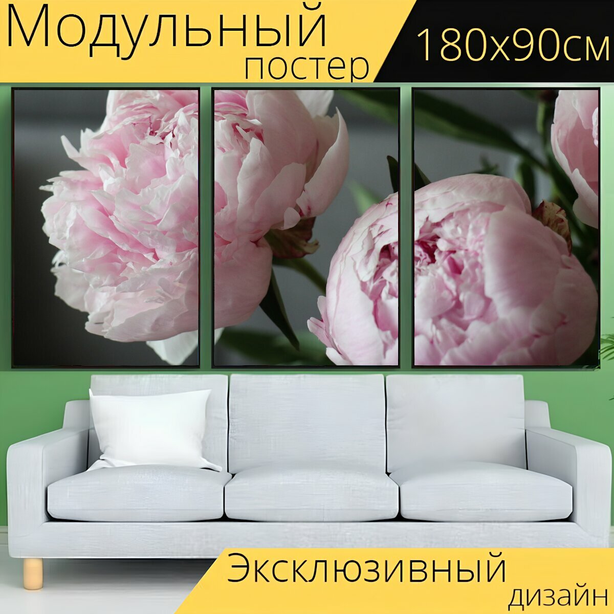 Модульный постер "Весна, цветы, пионы" 180 x 90 см. для интерьера