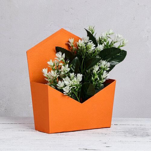 Конверт трапеция однотонный оранжевый 195 х 23 х 8 см 420₽