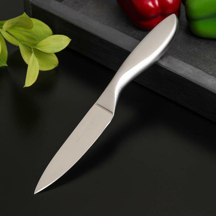 Доляна Нож для овощей кухонный Доляна Salomon, длина лезвия 9,5 см, цвет серебристый